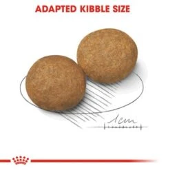 Royal Canin Medium Adult -Perfect Care Shop rc shn adultmedium cv eretailkit 3 1