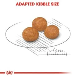 Royal Canin X-Small Adult -Perfect Care Shop rc shn adultxsmall cv eretailkit 3 3