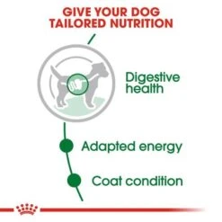 Royal Canin Mini Adult In Gravy -Perfect Care Shop rc shn wet miniadult cv eretailkit 2 9