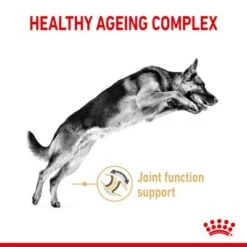 Royal Canin German Shepherd Adult 5+ -Perfect Care Shop rc spt dry germshep5 page 3 1 8