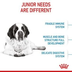Royal Canin Giant Junior -Perfect Care Shop rc spt dry giantjunior b1 page 05 2