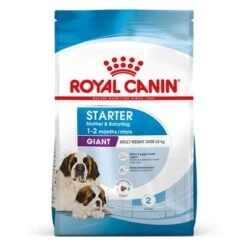 Royal Canin Giant Starter Mother & Babydog