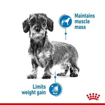 Royal Canin Mini Light Weight Care 6 Royal Canin Mini Light Weight Care - Image 6