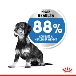 Royal Canin Mini Light Weight Care 11 Royal Canin Mini Light Weight Care -Perfect Care Shop rc spt dry lightweightmini page 4 jpg 9