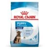 Royal Canin Maxi Puppy