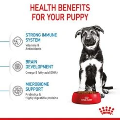 Royal Canin Maxi Puppy 12 Royal Canin Maxi Puppy -Perfect Care Shop rc spt dry maxipuppy b1 page 06 5