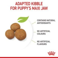 Royal Canin Maxi Puppy 14 Royal Canin Maxi Puppy -Perfect Care Shop rc spt dry maxipuppy b1 page 07 1