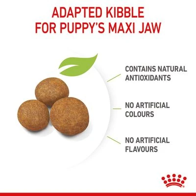 Royal Canin Maxi Puppy 7 Royal Canin Maxi Puppy - Image 7
