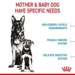 Royal Canin Maxi Starter Mother & Babydog -Perfect Care Shop rc spt dry maxistart b1 page 05 0