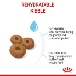 Royal Canin Maxi Starter Mother & Babydog -Perfect Care Shop rc spt dry maxistart b1 page 07 0