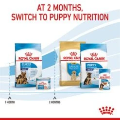 Royal Canin Maxi Starter Mother & Babydog -Perfect Care Shop rc spt dry maxistart b1 page 08 7
