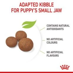 Royal Canin Medium Puppy -Perfect Care Shop rc spt dry mediumpuppy b1 page 07 8