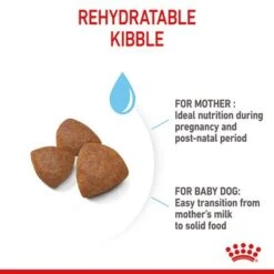 Royal Canin Medium Starter Mother & Babydog -Perfect Care Shop rc spt dry mediumstart b1 page 07 9