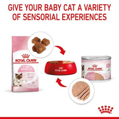 Royal Canin Mother & Babycat Ultra Soft Mousse 7 Royal Canin Mother & Babycat Ultra Soft Mousse - Image 7