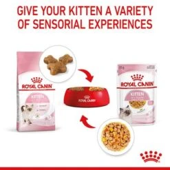 Royal Canin Kitten In Jelly 14 Royal Canin Kitten In Jelly -Perfect Care Shop rc spt wet kitten cij b1 page 07 9