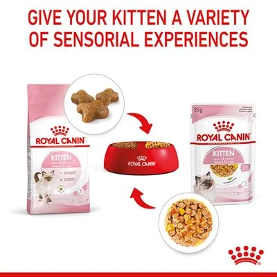 Royal Canin Kitten In Jelly 7 Royal Canin Kitten In Jelly - Image 7