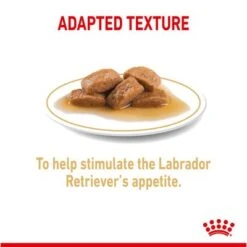 Royal Canin Labrador Retriever Adult In Gravy -Perfect Care Shop rc spt wet labad page 4 1 1