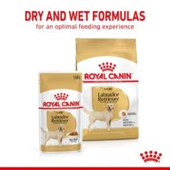 Royal Canin Labrador Retriever Adult In Gravy -Perfect Care Shop rc spt wet labad page 5 1 5