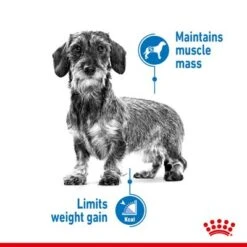 Royal Canin Light Weight Care Mousse -Perfect Care Shop rc spt wet lightweightallsize page 3 9