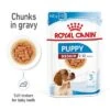 Royal Canin Medium Puppy In Gravy