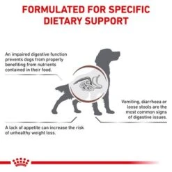 Royal Canin Veterinary Dog - Gastrointestinal 10 Royal Canin Veterinary Dog - Gastrointestinal -Perfect Care Shop rc vet dry doggastro eretailkit b1 page 3 6