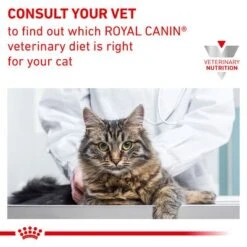 Royal Canin Veterinary - Gastrointestinal 15 Royal Canin Veterinary - Gastrointestinal -Perfect Care Shop rc vet wet catgastromcmig eretailkit b1 page 9 3