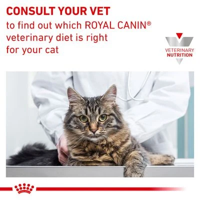 Royal Canin Veterinary - Gastrointestinal 8 Royal Canin Veterinary - Gastrointestinal - Image 8