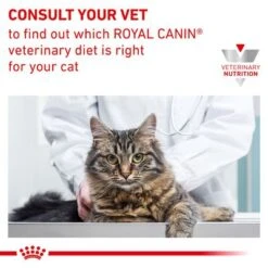Royal Canin Veterinary Feline Skin & Coat In Gravy -Perfect Care Shop rc vet wet catskincoat b1 page 8 3