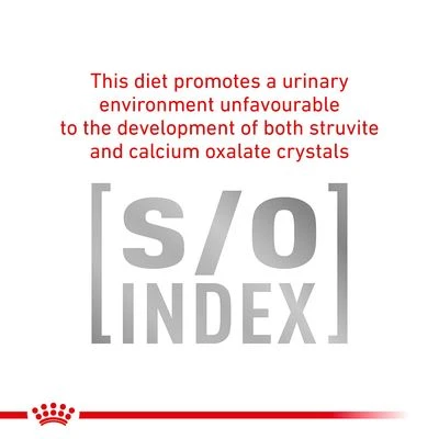 Royal Canin Veterinary - Urinary S/O 7 Royal Canin Veterinary - Urinary S/O - Image 7
