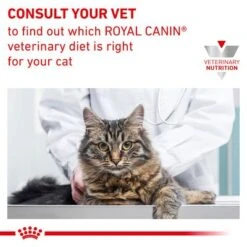 Royal Canin Veterinary - Urinary S/O 15 Royal Canin Veterinary - Urinary S/O -Perfect Care Shop rc vet wet caturinarysocig eretailkit b1 page 9 4