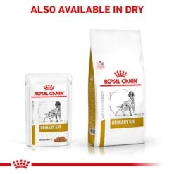 Royal Canin Veterinary Dog - Urinary S/O In Gravy -Perfect Care Shop rc vet wet dogurinarysocig eretailkit b1 page 8 8