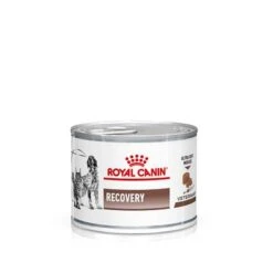 Royal Canin Veterinary Dog & Cat – Recovery Mousse