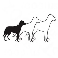 Bozita Robur Breeder & Puppy XL 30/14 -Perfect Care Shop robur med larg 1