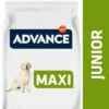 Advance Maxi Junior Chicken