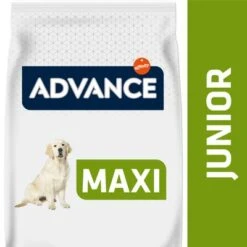 Advance Maxi Junior Chicken