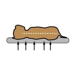 Pawz & Pepper Denver Ortho Dog Cushion 12 Pawz & Pepper Denver Ortho Dog Cushion -Perfect Care Shop skizze memory foam 1