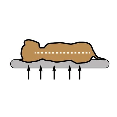 Pawz & Pepper Denver Ortho Dog Cushion 5 Pawz & Pepper Denver Ortho Dog Cushion - Image 5