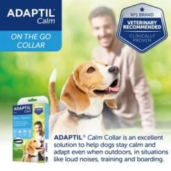 ADAPTIL® Calm Collar For Dogs -Perfect Care Shop small collar 1 7