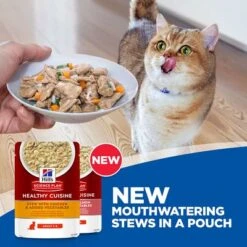 Hill's Science Plan Kitten Healthy Cuisine With Chicken & Ocean Fish -Perfect Care Shop sp healthy cuisine thumbnails cat key visual 3