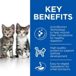 Hill's Science Plan Hill’s Science Plan Kitten Perfect Digestion -Perfect Care Shop sp kitten perfect digestion dry chicken bk32781m benefits uk 2