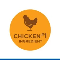 Hill's Science Plan Hill’s Science Plan Mature Adult 7+ No Grain With Chicken -Perfect Care Shop sp no grain flavours chicken 4