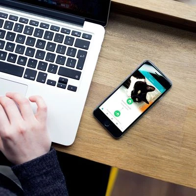 SureFlap Microchip Pet Door Connect 8 SureFlap Microchip Pet Door Connect - Image 8