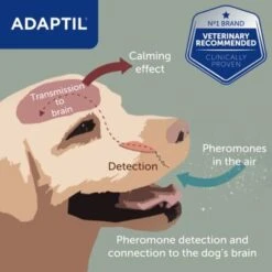 ADAPTIL® Transport Spray -Perfect Care Shop transport spray 3 2