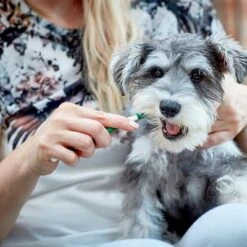 Vet's Best® Dental Care Set For Dogs -Perfect Care Shop v317310 vetsbest dentalcare kit hs 09 3