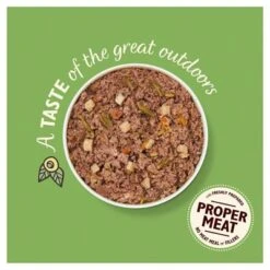 Lily's Kitchen Wild Campfire Stew 7 Lily's Kitchen Wild Campfire Stew -Perfect Care Shop wild campfire stew food shot 4