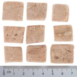 Wolf Of Wilderness RAW Freeze-dried Snacks Saver Packs -Perfect Care Shop wow fd snack blue river cubes with ruler 4 1