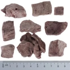 Wolf Of Wilderness RAW Freeze-dried Snacks -Perfect Care Shop wow fd snack green fields lungwithruler 8