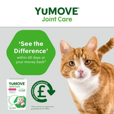 YuMOVE Joint Care For All Cats 5 YuMOVE Joint Care For All Cats - Image 5