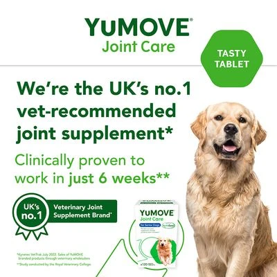 YuMOVE Joint Care For Senior Dogs 4 YuMOVE Joint Care For Senior Dogs - Image 4