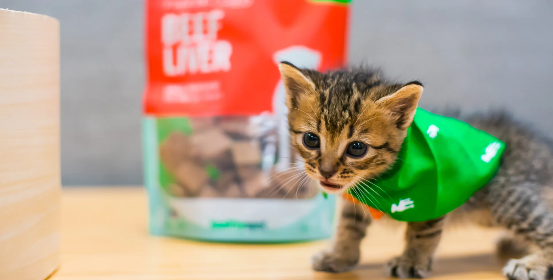 Perfect Care Shop -Perfect Care Shop Cat Article Image